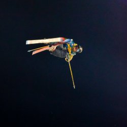 ARAG-Freestyle - Freitag