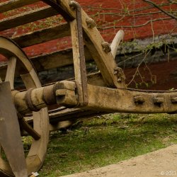 Gartenwelt