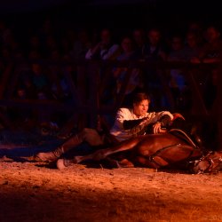 Ritterlager und Markt